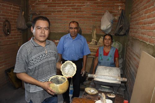 Cover image: EA-ArtesanosTemalacatzingoGuerrero-Guajes-AliciaDcore (8)