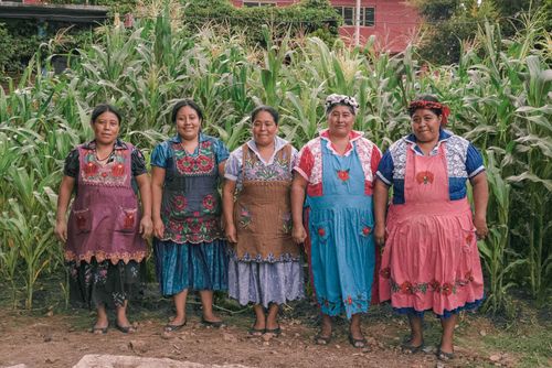 Cover image: EA-GrupoAlfareria-OaxacadeJuarez-MA